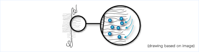 Fig. 4 Moisture retention mechanism