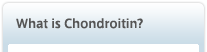What is Chondroitin?